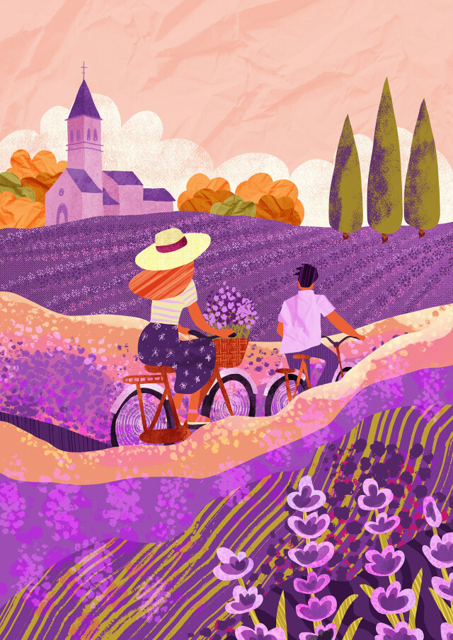 lavender field - CO:CREATE 1