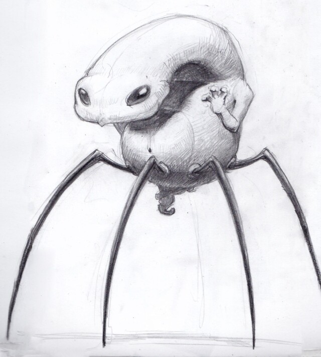 Паукообразное - CO:CREATE