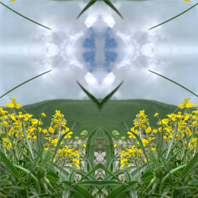 Фото-символы трансформированных цветов - CO:CREATE 6