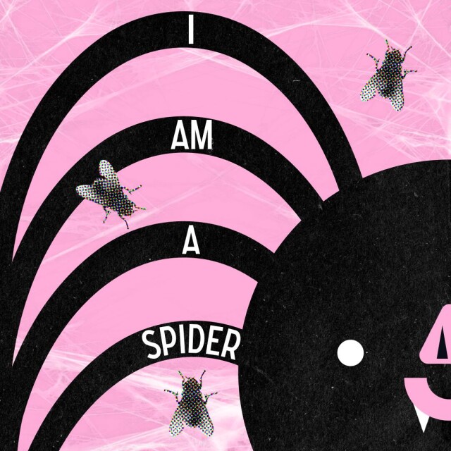 SPIDER - CO:CREATE 3