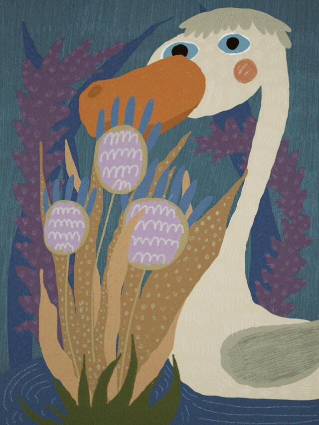 Пупики - CO:CREATE 5