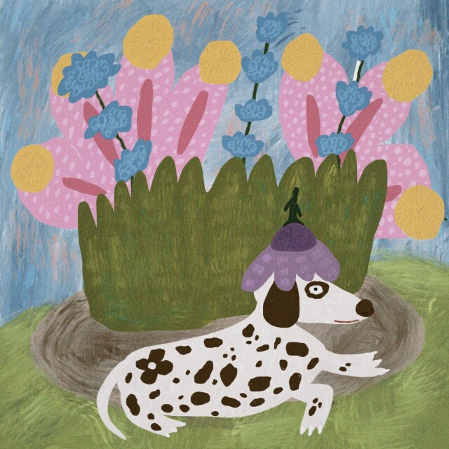 Пупики - CO:CREATE 1