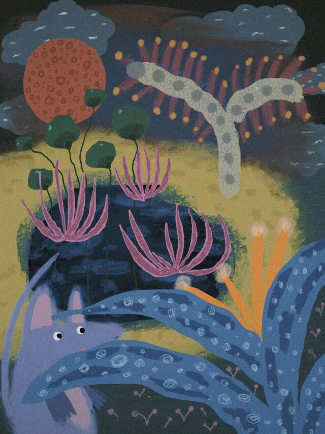 Пупики - CO:CREATE