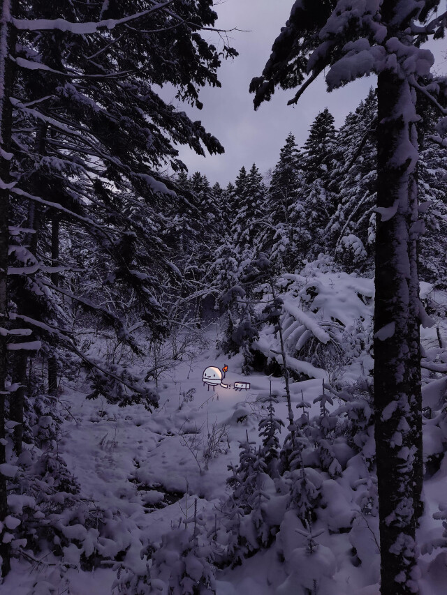 Снежные фламенки - CO:CREATE 1