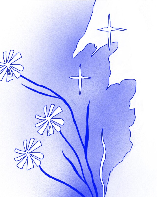 цветы - CO:CREATE 1