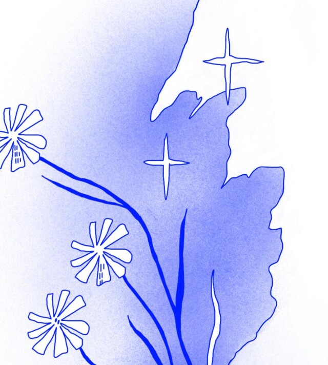 цветы - CO:CREATE