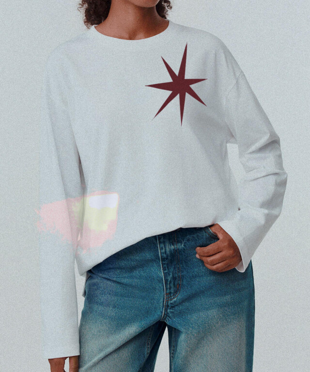 Северный олень - CO:CREATE 5