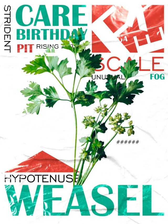 скука - CO:CREATE