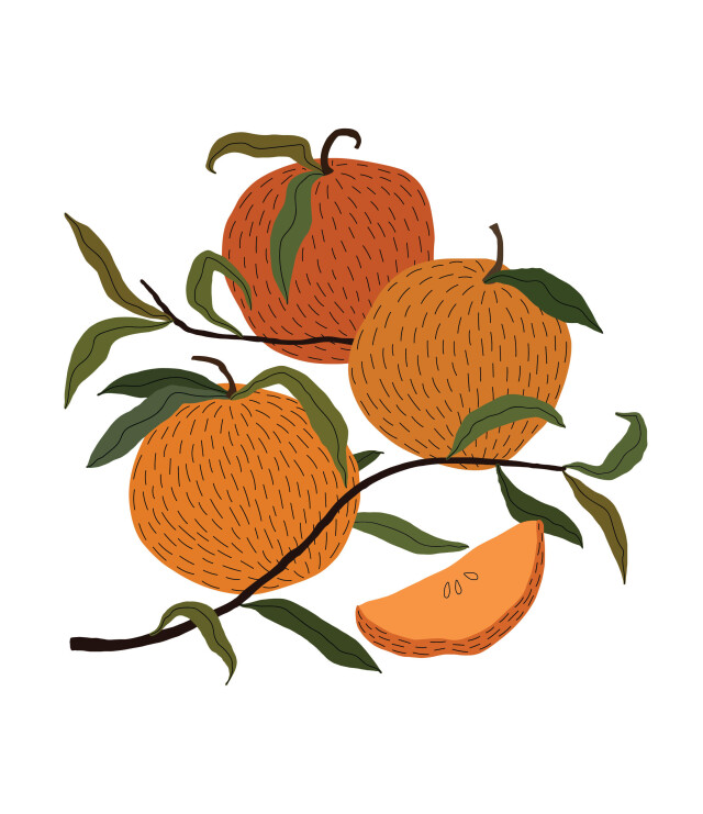 мандарины - CO:CREATE 2