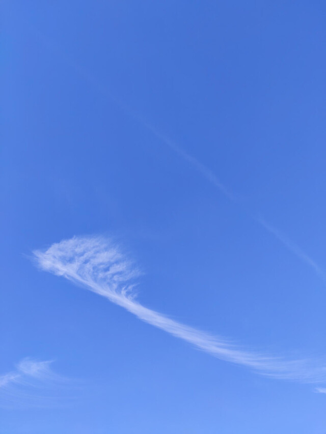 Проект Clouds: The toothbrush - CO:CREATE 1