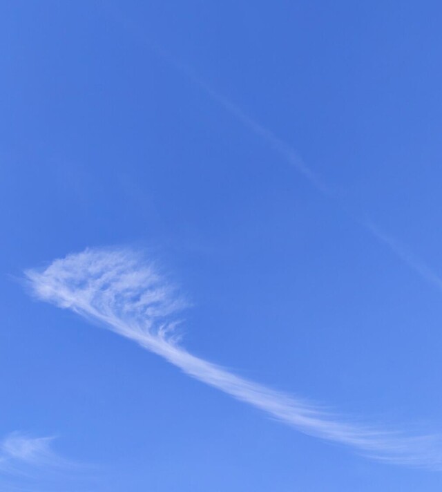 Проект Clouds: The toothbrush - CO:CREATE