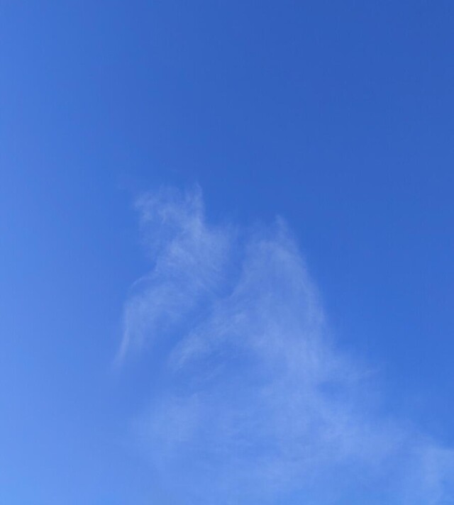 Проект Clouds: The human - CO:CREATE