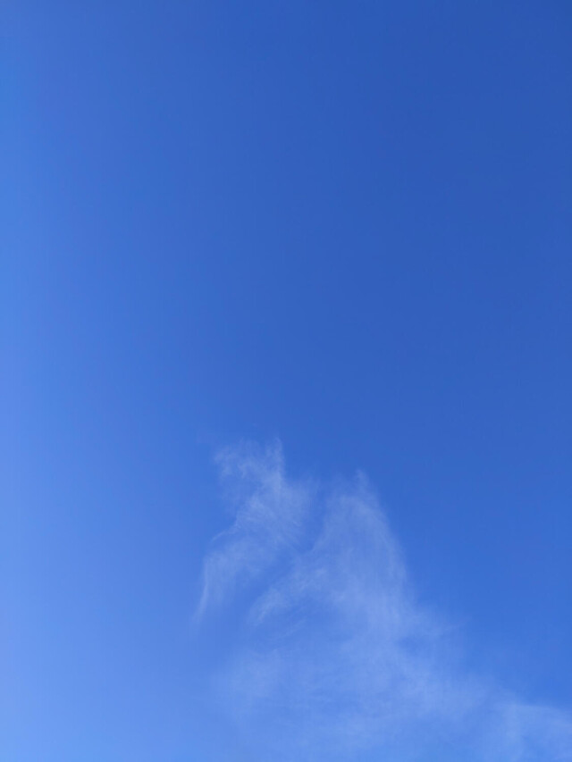 Проект Clouds: The human - CO:CREATE 1