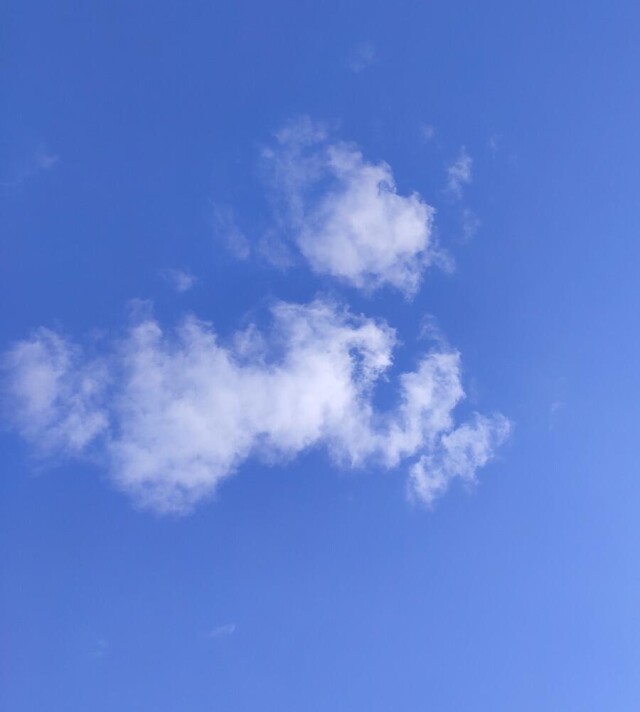 Проект Clouds: The dog - CO:CREATE