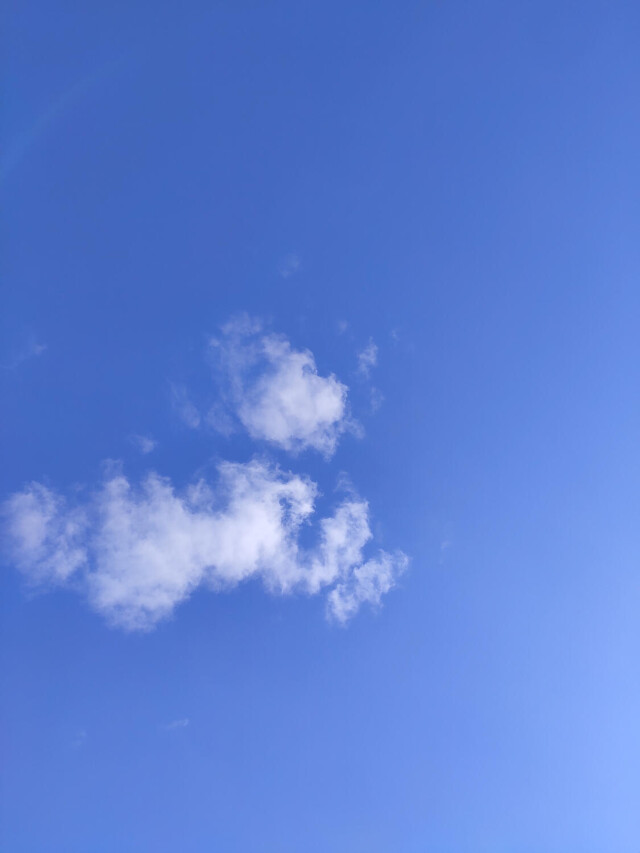 Проект Clouds: The dog - CO:CREATE 1