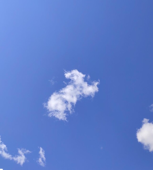 Проект Clouds: The rabbit - CO:CREATE