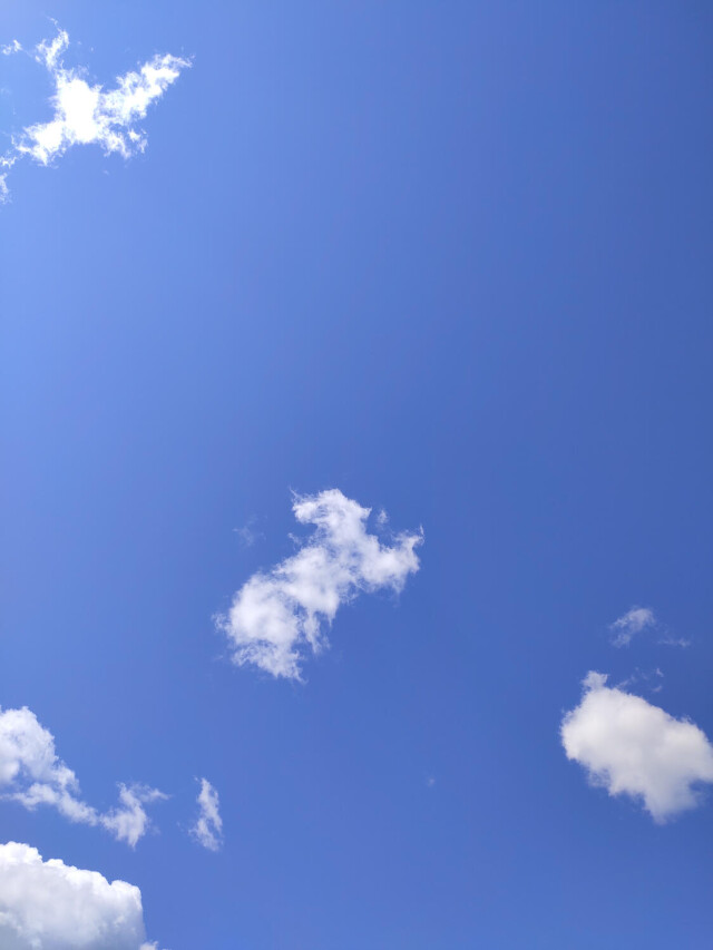 Проект Clouds: The rabbit - CO:CREATE 1