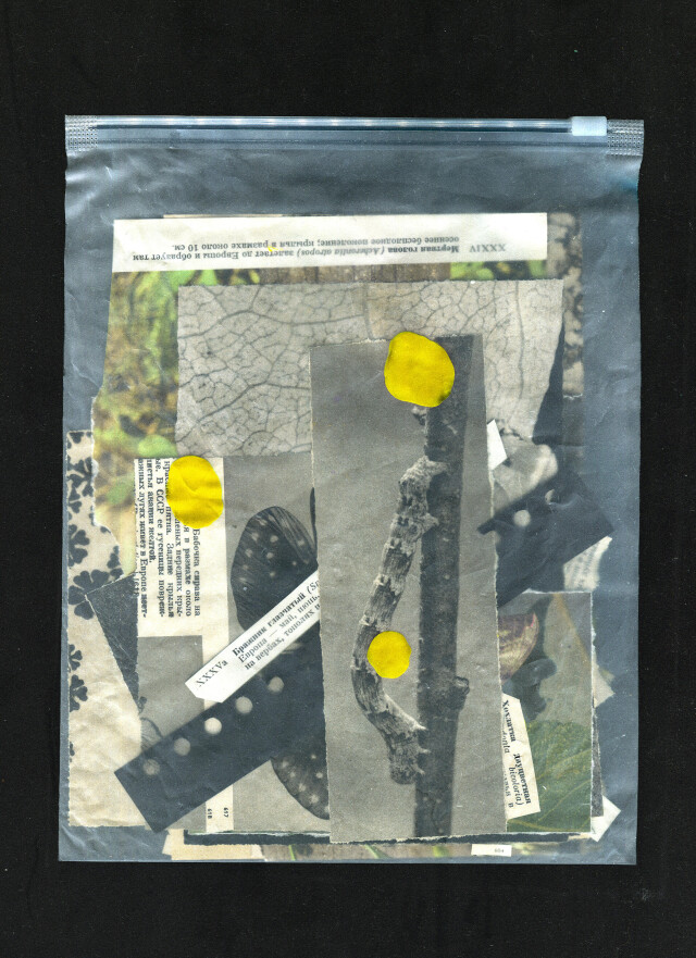 Hidden Treasure - CO:CREATE 1