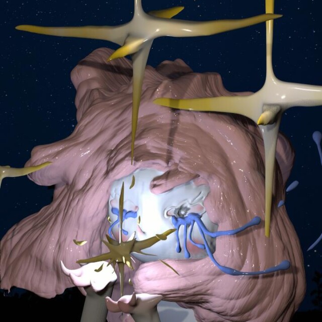 Star - Hope - CO:CREATE 8