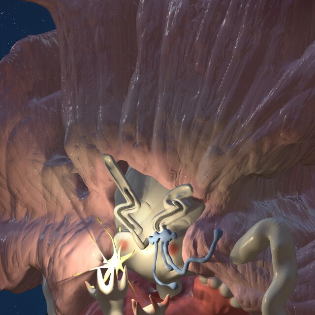 Star - Hope - CO:CREATE 3