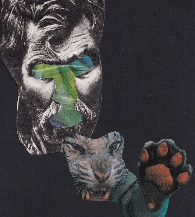 Тигр - CO:CREATE