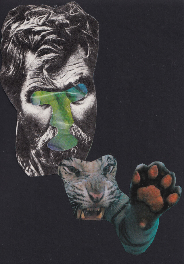 Тигр - CO:CREATE 1