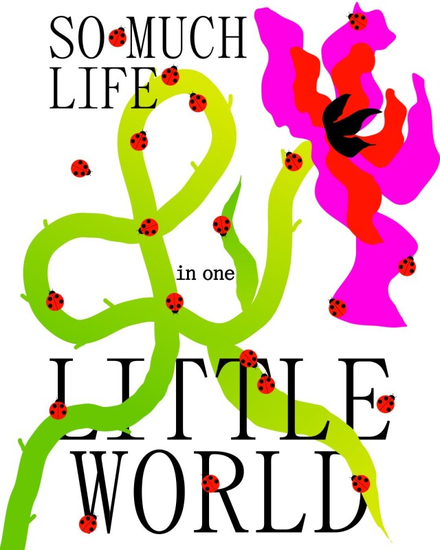 Dig into spring - CO:CREATE 1