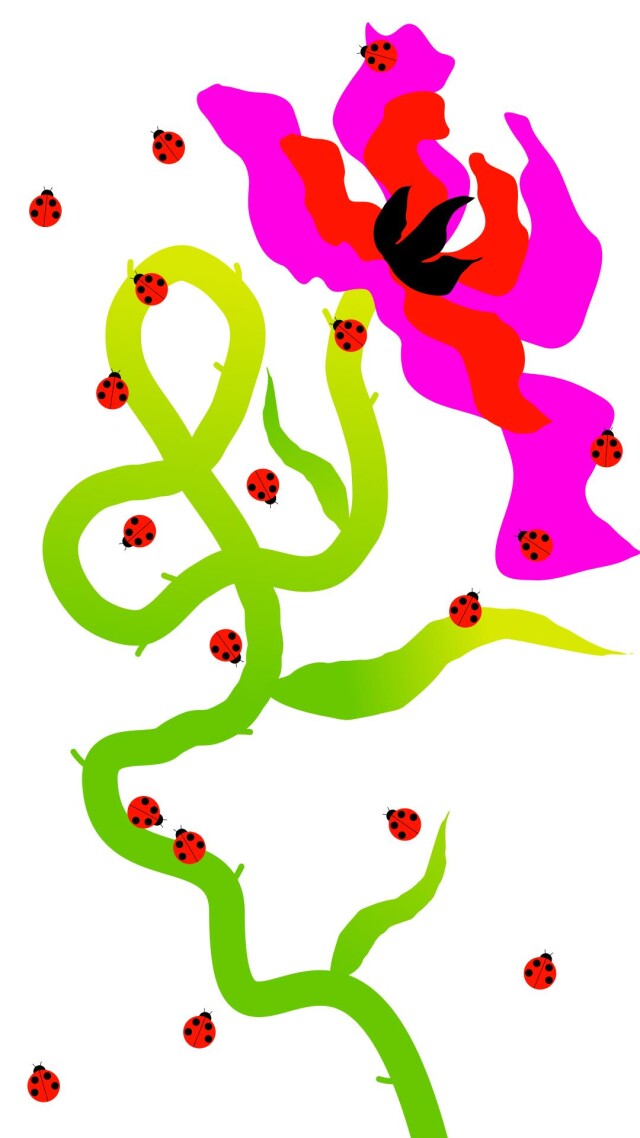 Dig into spring - CO:CREATE 2