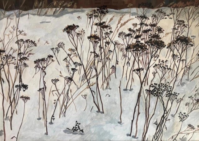 Пижма - CO:CREATE