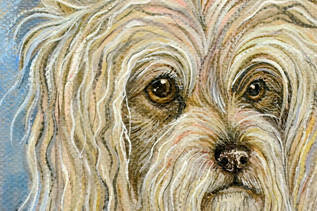 Собачонка - CO:CREATE 2