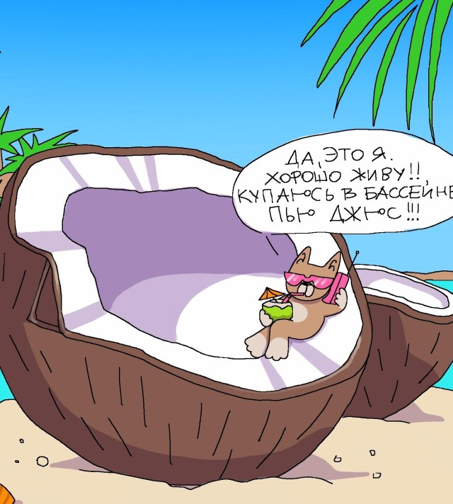 День кокоса - CO:CREATE