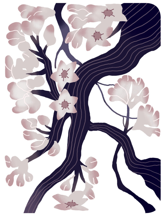 Мечты о Востоке - CO:CREATE 2