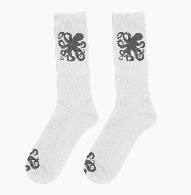 :OCTOPUS - CO:CREATE 2