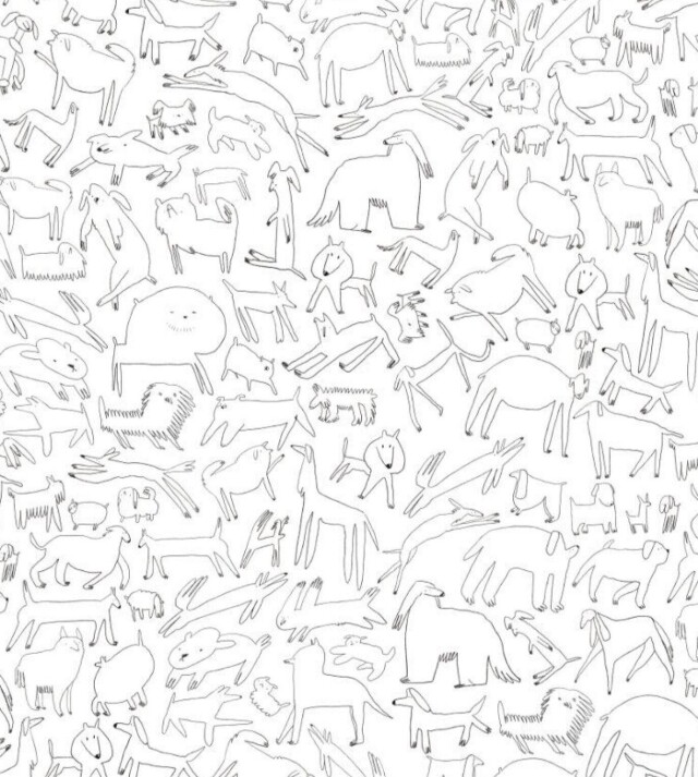 «ПЁС ТАМ ГДЕ ДОМ» - CO:CREATE