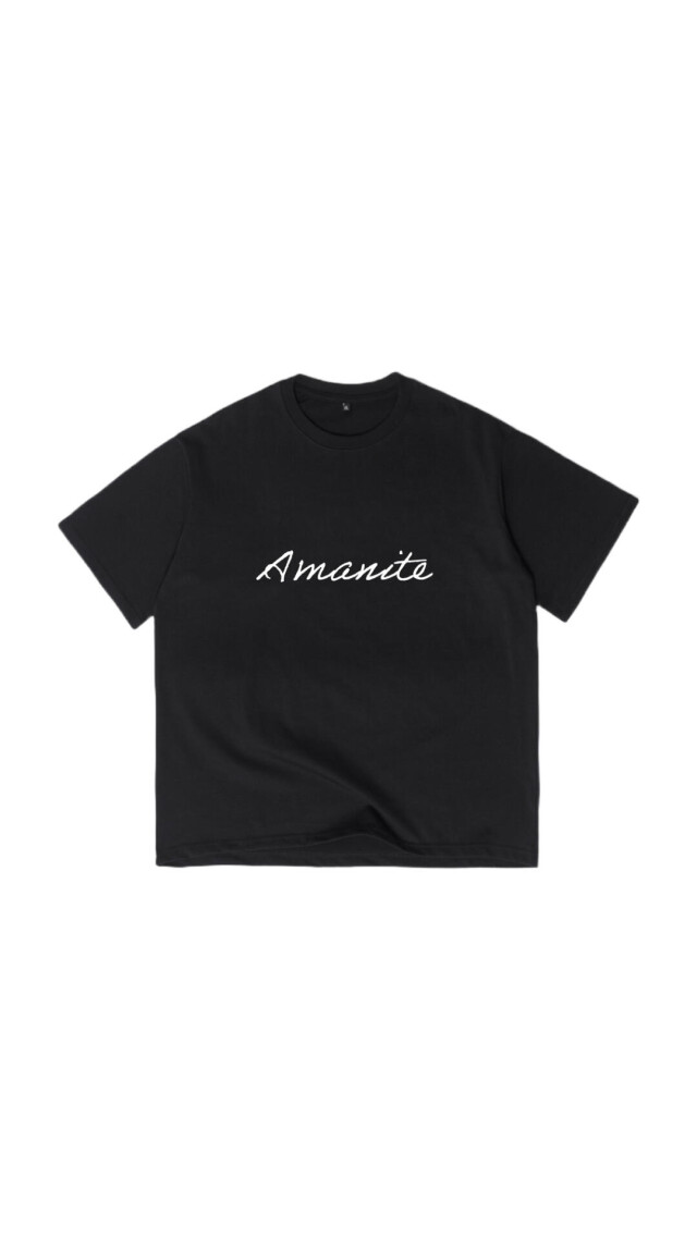 Amanite - CO:CREATE 3