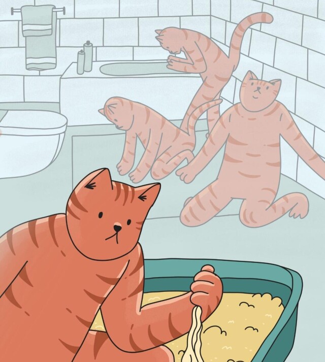 мемный кот - CO:CREATE