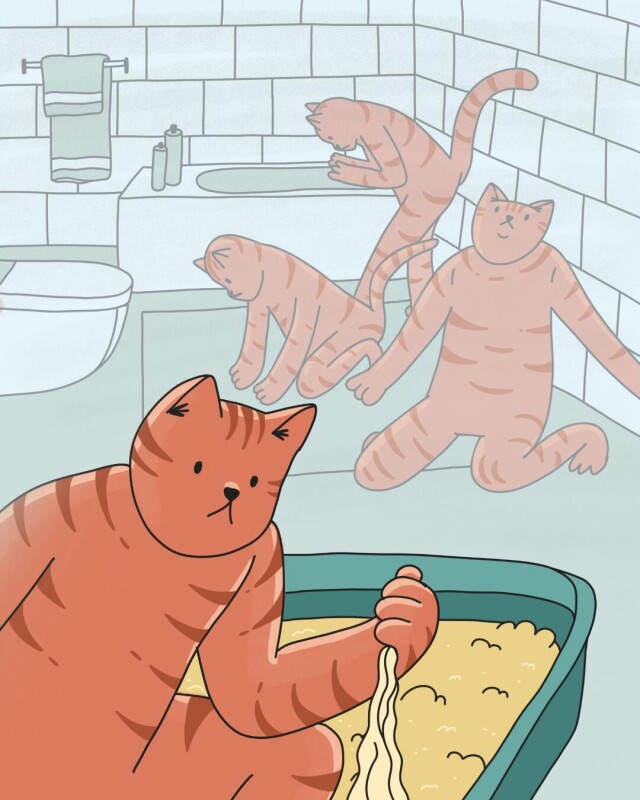 мемный кот - CO:CREATE 1