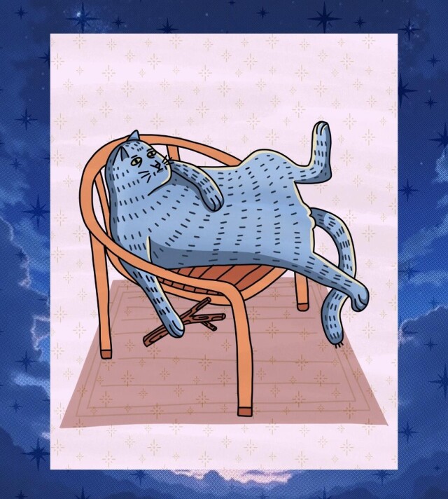 ветка - CO:CREATE