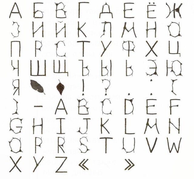 Алфавит из веточек - CO:CREATE 1