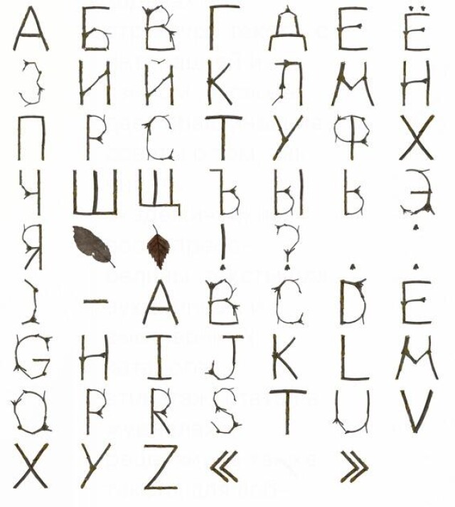 Алфавит из веточек - CO:CREATE