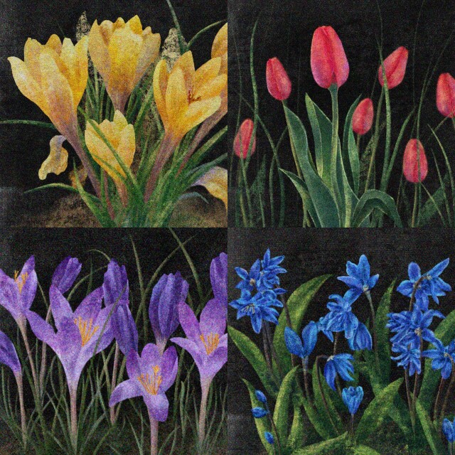 Spring interlude - CO:CREATE