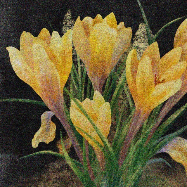 Spring interlude - CO:CREATE 2