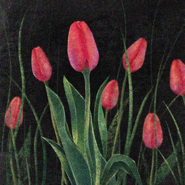 Spring interlude - CO:CREATE 5