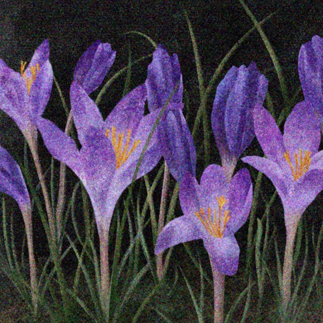 Spring interlude - CO:CREATE 3