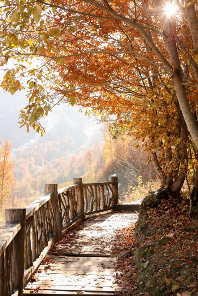 Город Сочи🌴🤍 - CO:CREATE 6