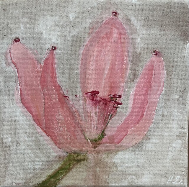 Цветы в саду - CO:CREATE 4