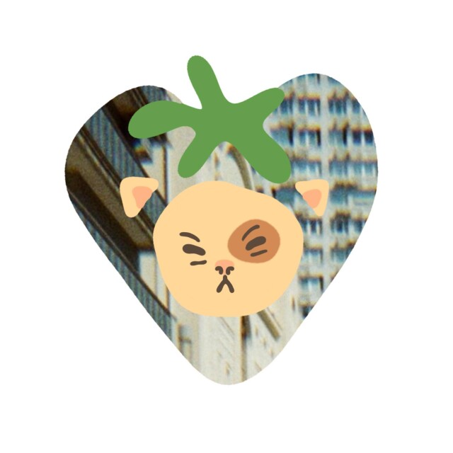 Мы смотрим — мы видим - CO:CREATE 4