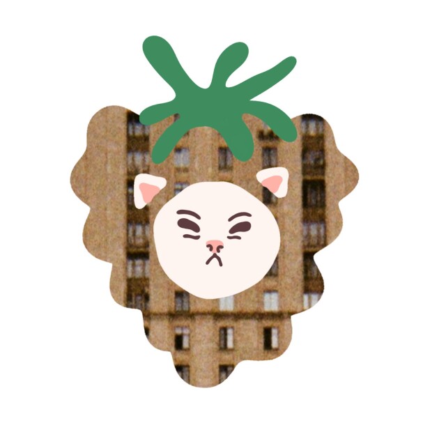 Мы смотрим — мы видим - CO:CREATE 5