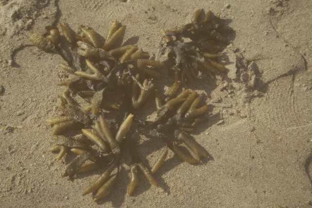 МЕТА САТ - CO:CREATE 3