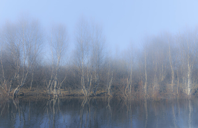 МЕТА САТ - CO:CREATE 8